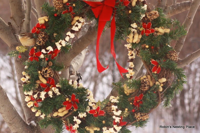How To Keep Birds From Nesting In Wreaths Wreaths Wreath Bird Winter